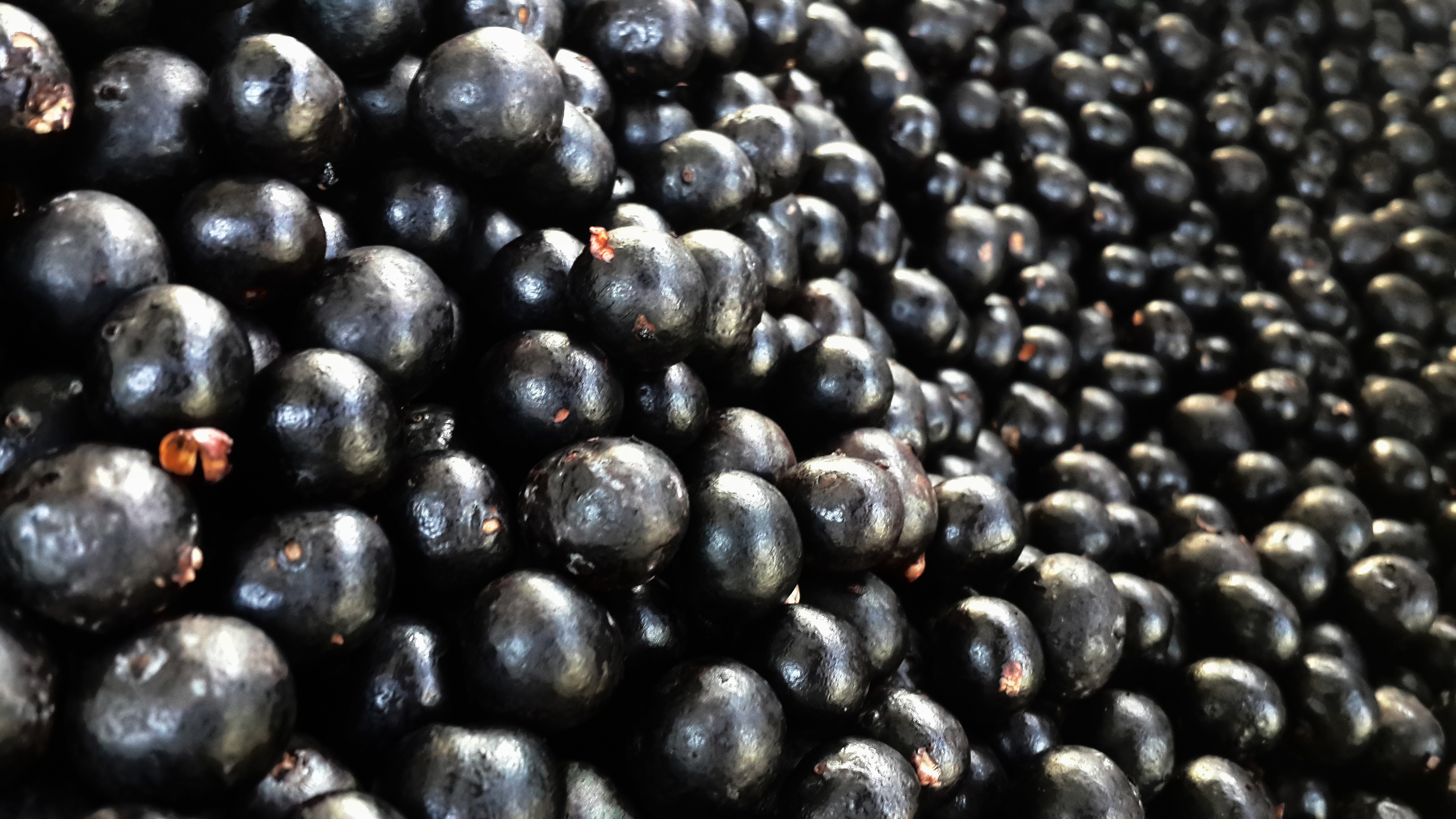 Imagem de açaí in natura